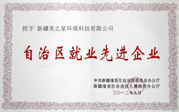 自治區(qū)就業(yè)先進(jìn)企業(yè)